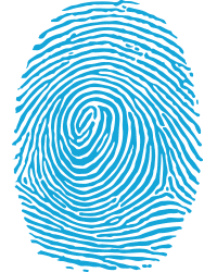 td_fingerprint